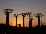Sunset 2