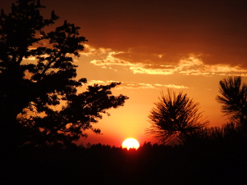 Sunset 6